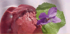 Ein echt cooles Rezept: „Mandel-Waldblaubeer-Eiscreme” mit Rezeptkarte